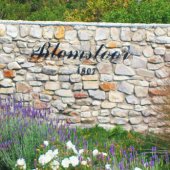 Die Blomstoor Photo Gallery